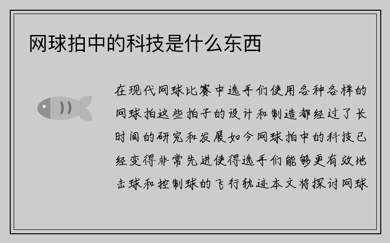 网球拍中的科技是什么东西