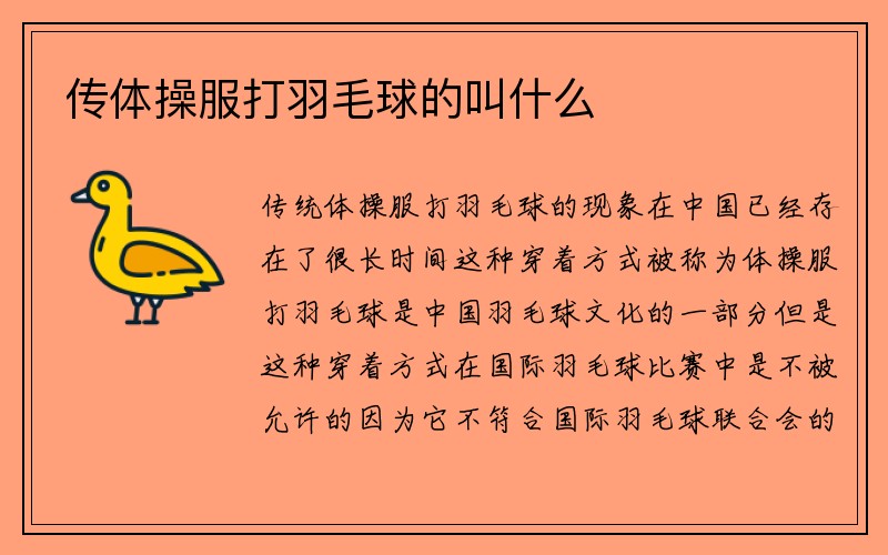 传体操服打羽毛球的叫什么