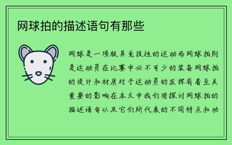 网球拍的描述语句有那些