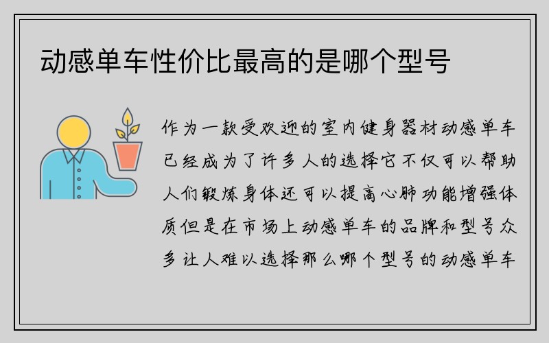 动感单车性价比最高的是哪个型号