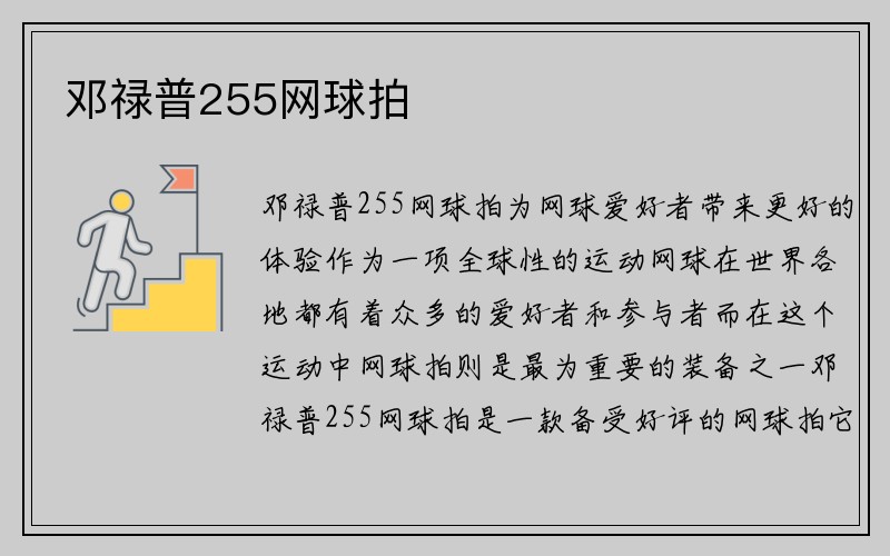 邓禄普255网球拍